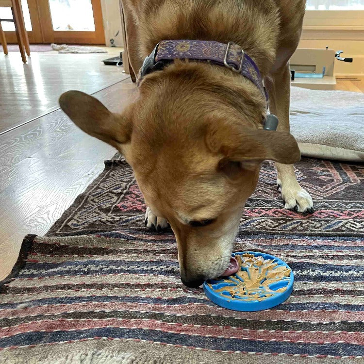 ECOIN Snacking Coin - Air Balloon