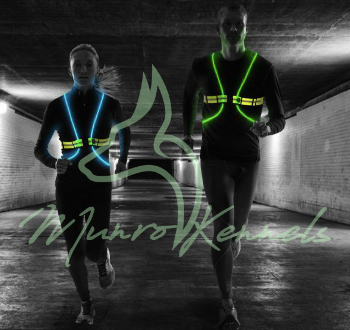 Noxgear Tracer2 – Illuminated & Reflective Vest | MunroKennels.com