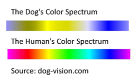 Handlers Choice 850GSM Competition Tunnel