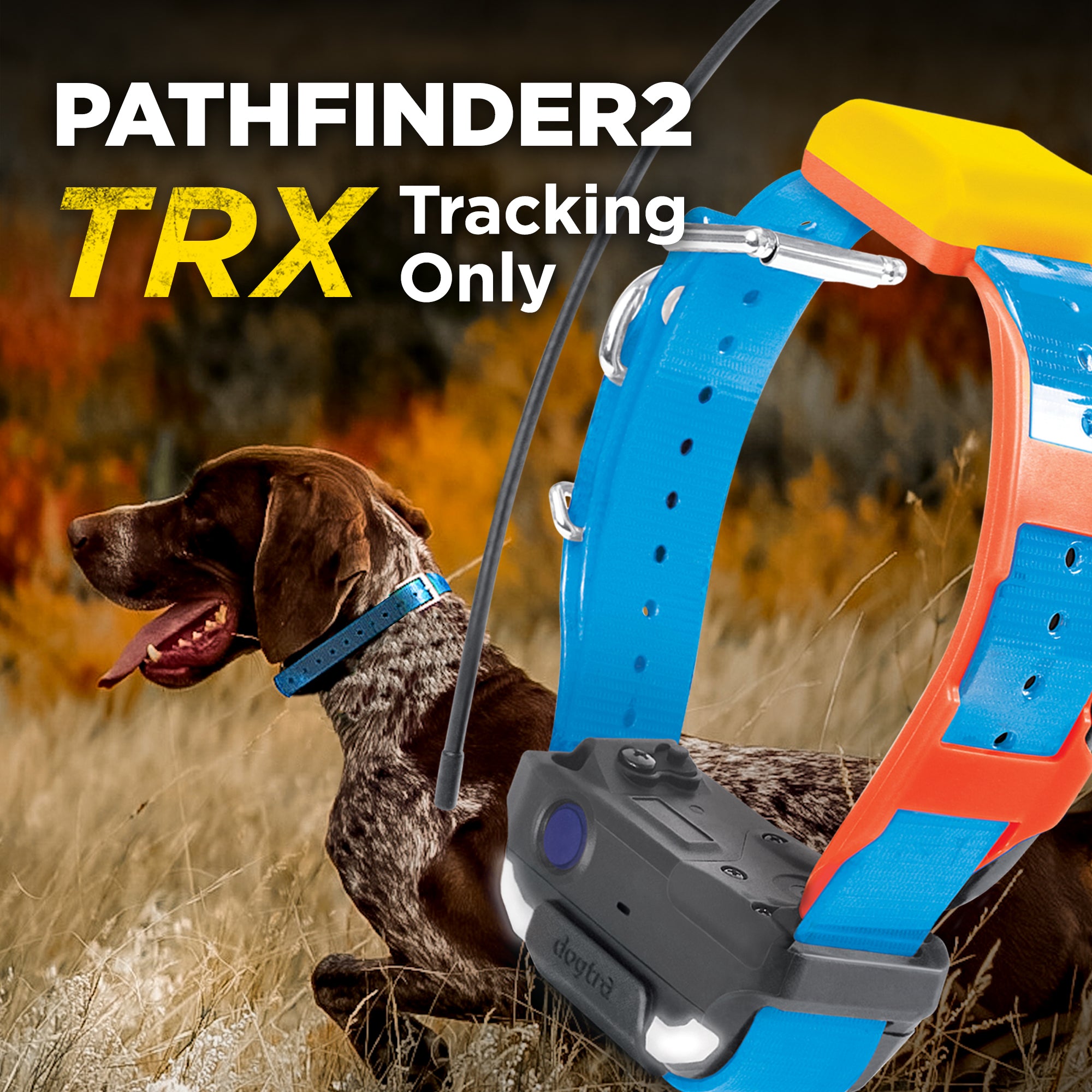 DOGTRA Pathfinder2 TRX Additional Collar