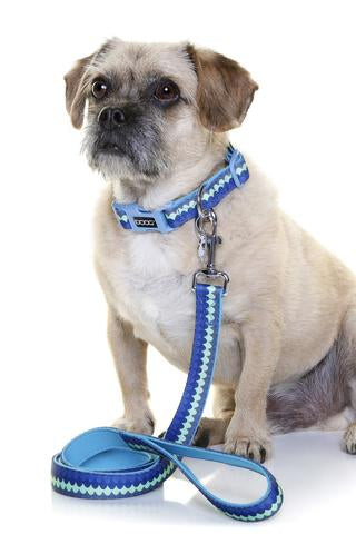 Neoprene Collar - Pluto