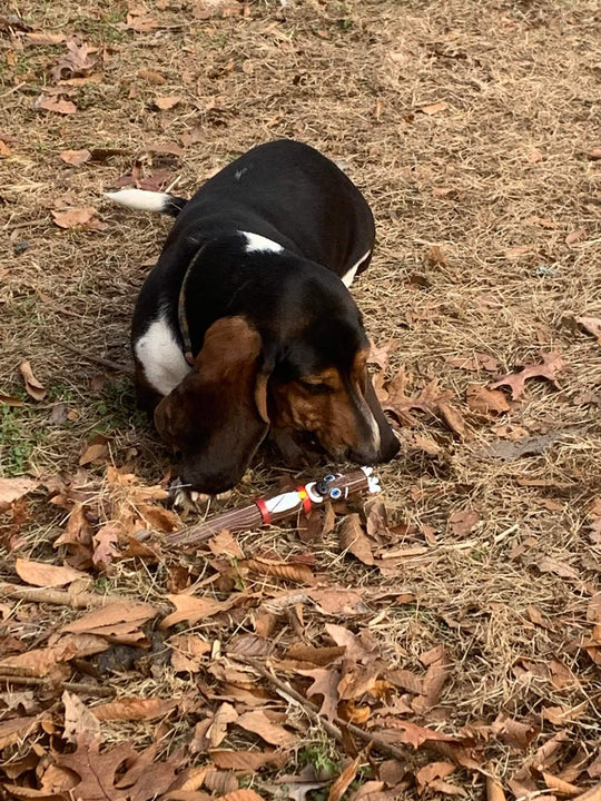 The Christmas Sticks