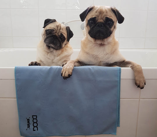 DOOG Swim/Bath Towel For Dogs