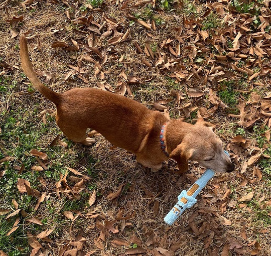 The Christmas Sticks