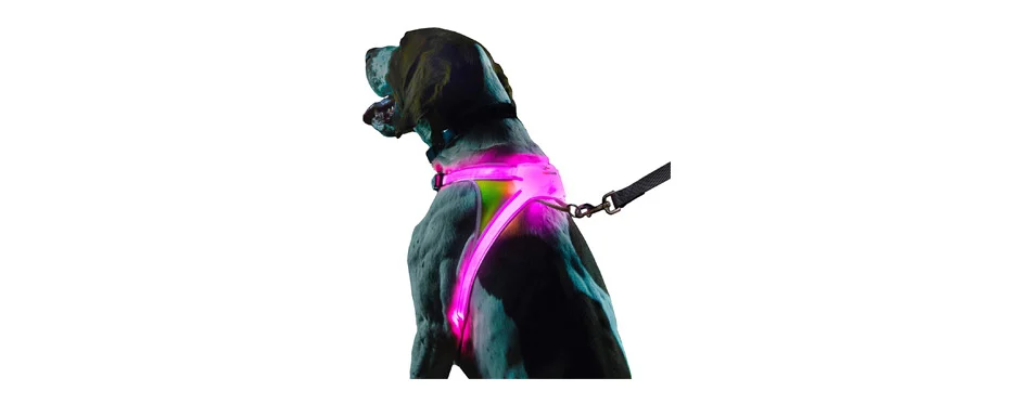 Noxgear LightHound - LED Illuminated Dog Harness | MunroKennels.com