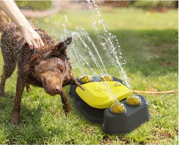 Dog Drinking Fountain