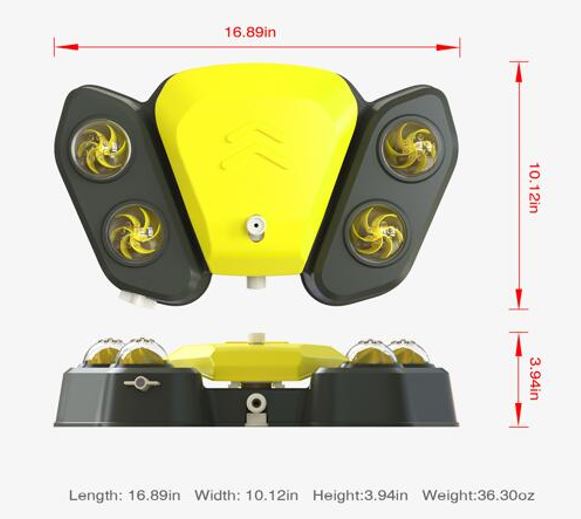 Dog Drinking Fountain