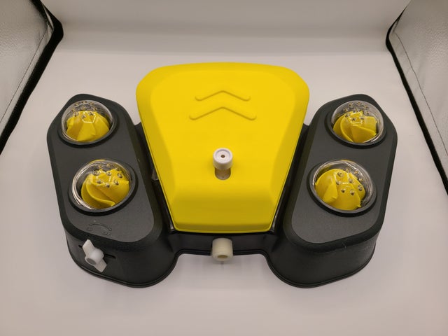 Dog Drinking Fountain