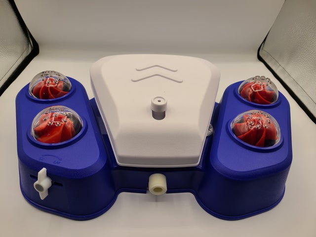 Dog Drinking Fountain