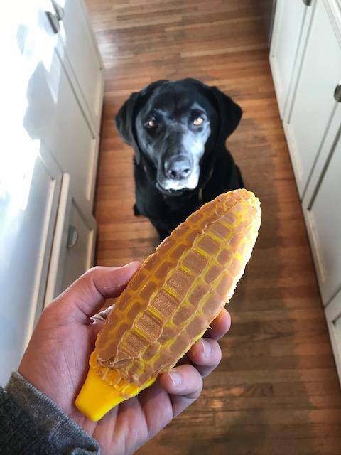 Nylon Dog Chew Toy - Corn on the Cob