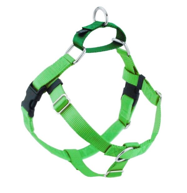 Freedom No-Pull Dog Harness - Neon Green