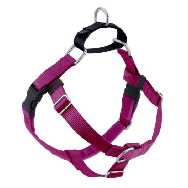 Freedom No-Pull Dog Harness - Raspberry