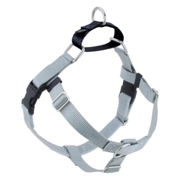 Freedom No-Pull Dog Harness - Silver