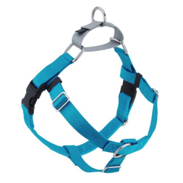 Freedom No-Pull Dog Harness - Turquoise