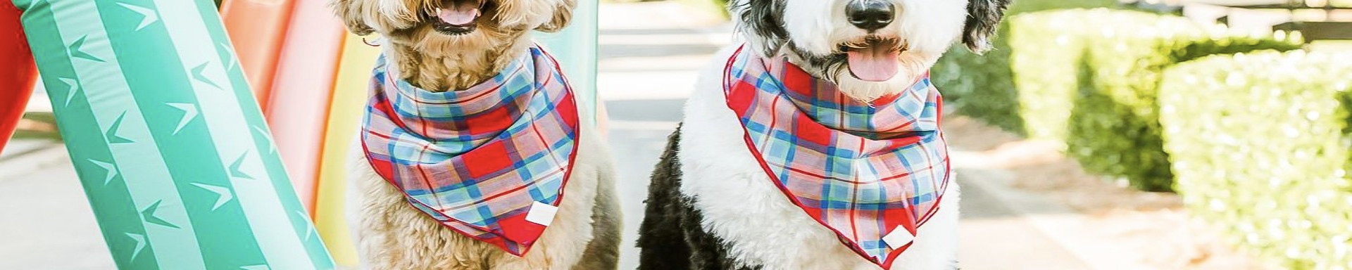 Dog Apparel & Accessories | MunroKennels.com | Munro Industries mk-1009040101