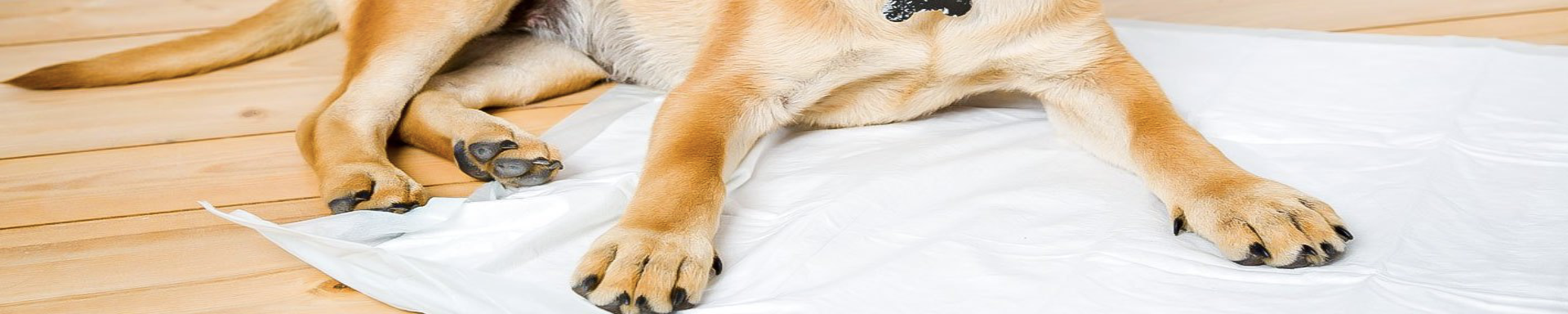 Dog Diapers & Pet Pads | MunroKennels.com | Munro Industries mk-1009040701