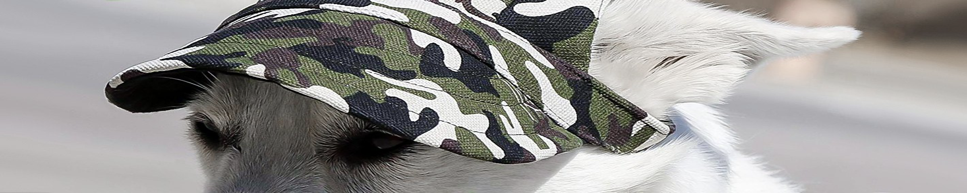 Dog Hats | MunroKennels.com | Munro Industries mk-1009040105