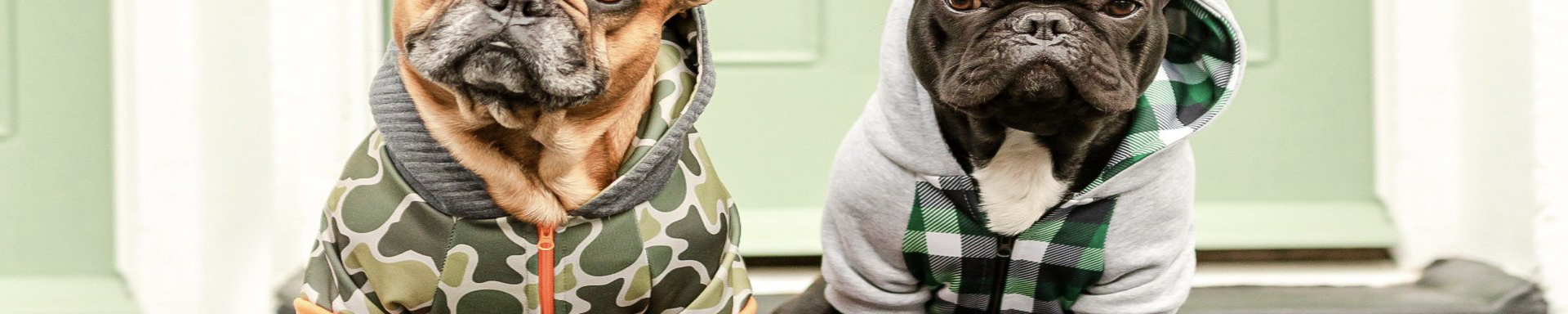 Dog Hoodies & Sweaters | MunroKennels.com | Munro Industries mk-1009040106