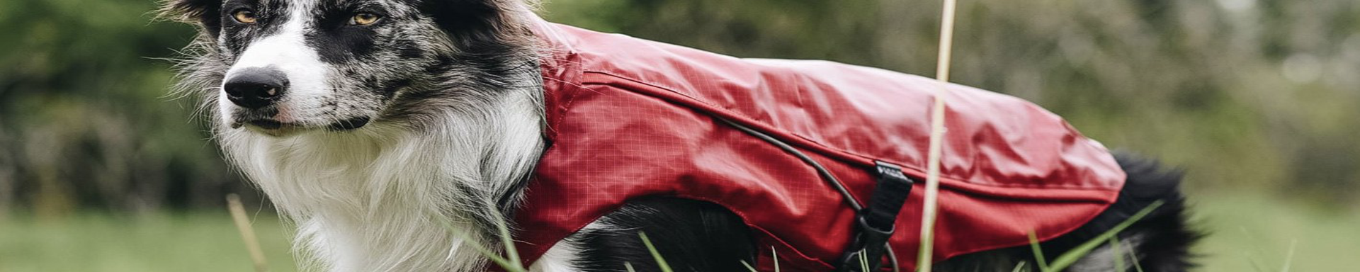 Dog Outdoor Gear | MunroKennels.com | Munro Industries mk-1009040108