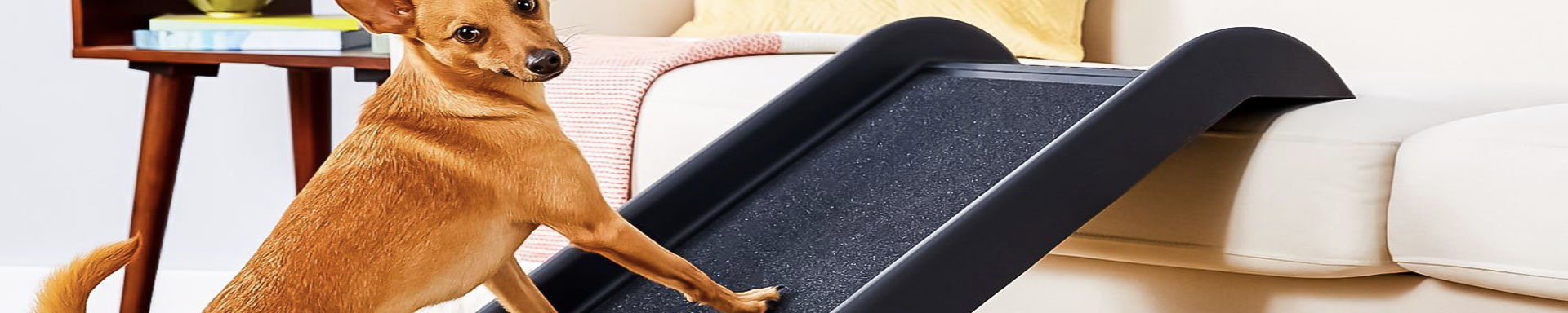 Dog Ramps | MunroKennels.com | Munro Industries mk-1009041902