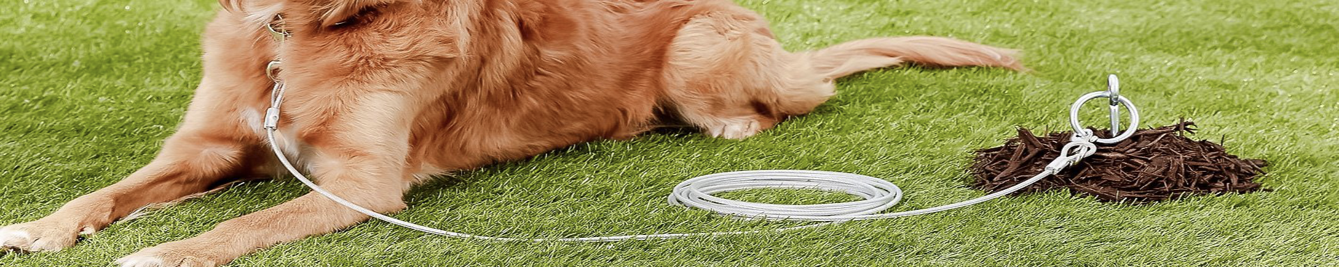 Dog Tie-Outs & Stakes | MunroKennels.com | Munro Industries mk-1009040806
