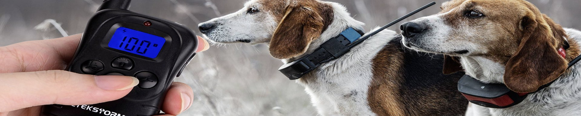 Dog Training & Tracking Devices | MunroKennels.com | Munro Industries mk-1009040807