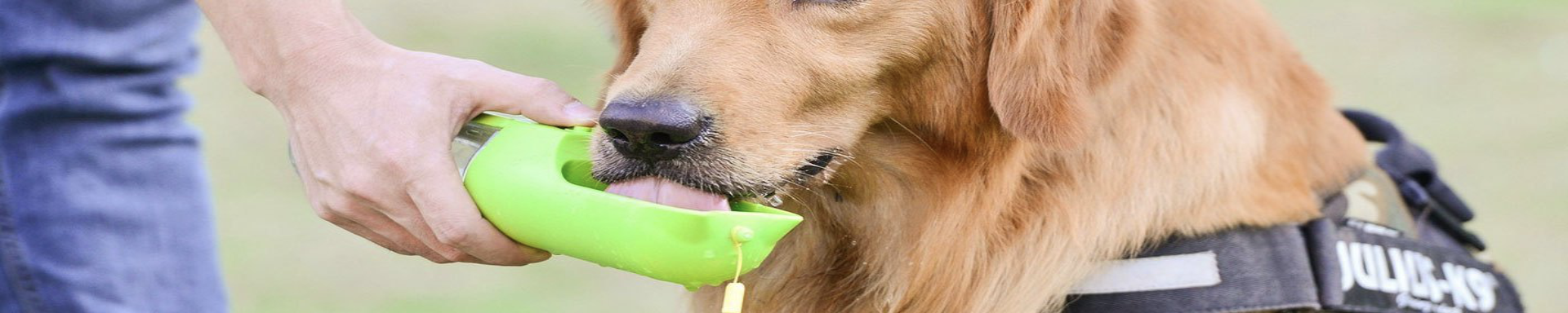 Dog Water Bottles & Cups | MunroKennels.com | Munro Industries mk-1009040501