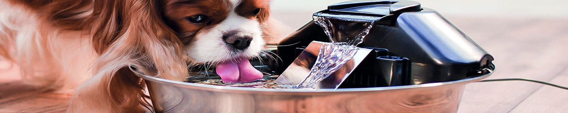 Dog Water Fountains | MunroKennels.com | Munro Industries mk-1009040502