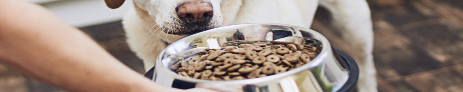 Feed & Nutrition | MunroKennels.com | Munro Industries mk-10090306