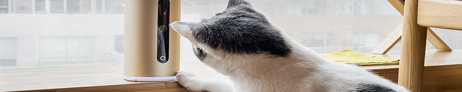Pet Activity Monitors | MunroKennels.com | Munro Industries mk-1009042005