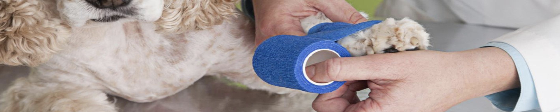 Pet Blood Stoppers | MunroKennels.com | Munro Industries mk-1009041601