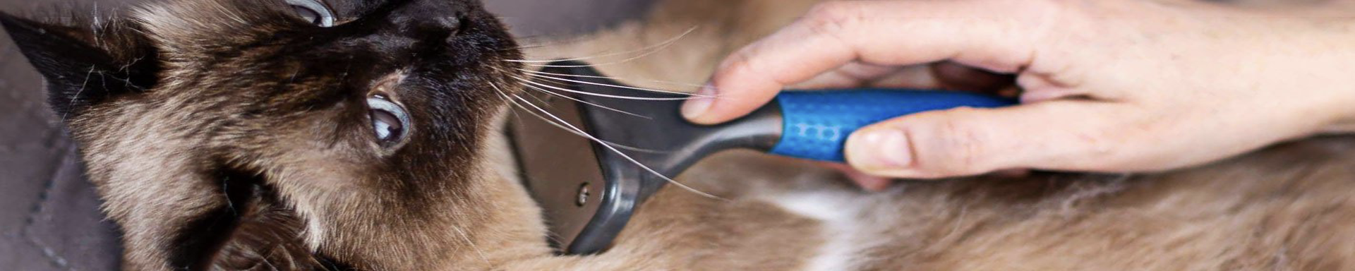 Pet Brushes & Combs | MunroKennels.com | Munro Industries mk-1009041502