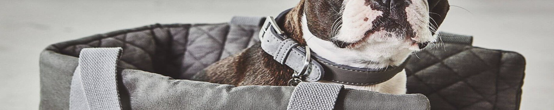 Pet Carrier Totes | MunroKennels.com | Munro Industries mk-1009040604