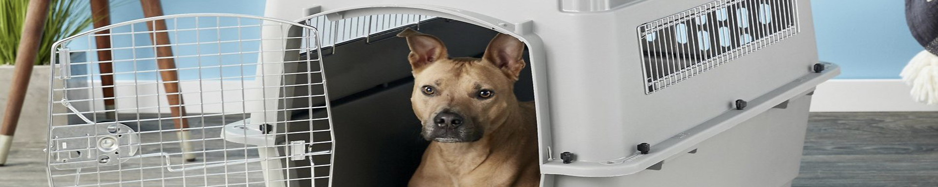 Pet Carriers | MunroKennels.com | Munro Industries mk-1009040605