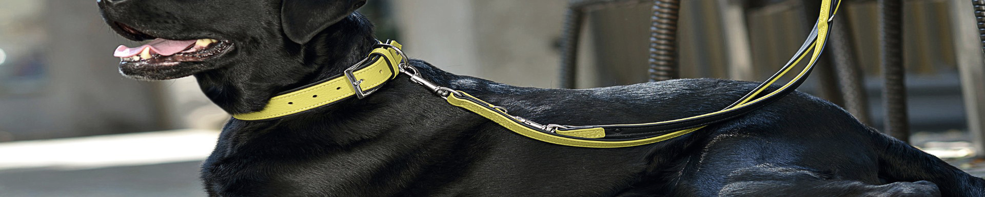 Pet Collars & Leashes | MunroKennels.com | Munro Industries mk-1009040112