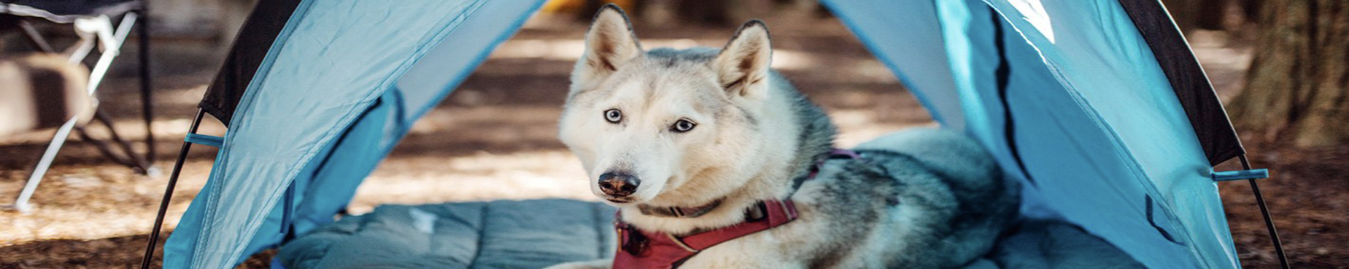 Pet Crates & Cage Covers | MunroKennels.com | Munro Industries mk-1009040904