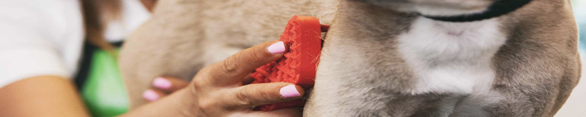 Pet Grooming & Bathing | MunroKennels.com | Munro Industries mk-1009040703