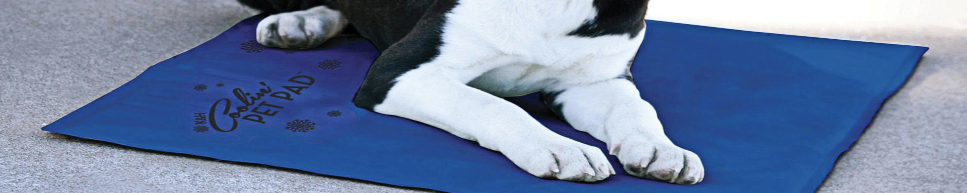 Pet Pads | MunroKennels.com | Munro Industries mk-1009040204