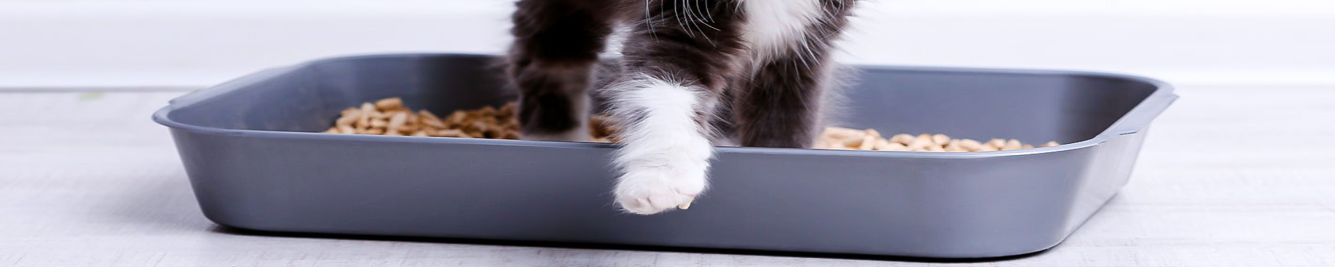 Pet Pots & Clean Up | MunroKennels.com | Munro Industries mk-1009040704
