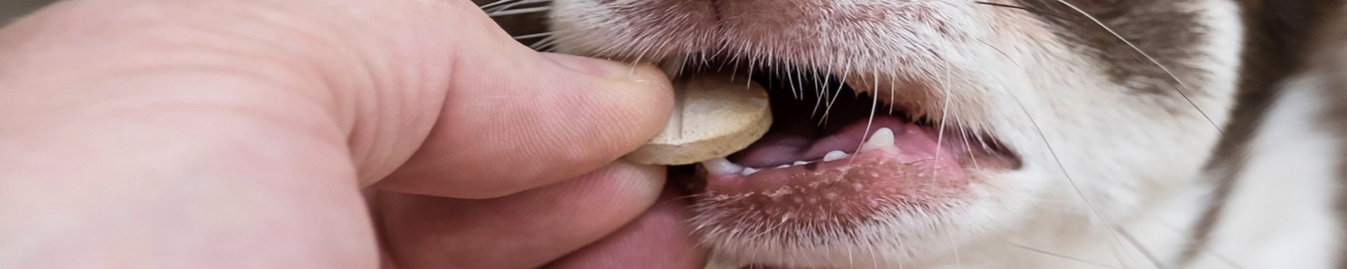 Pet Supplements & Vitamins | MunroKennels.com | Munro Industries mk-1009041605