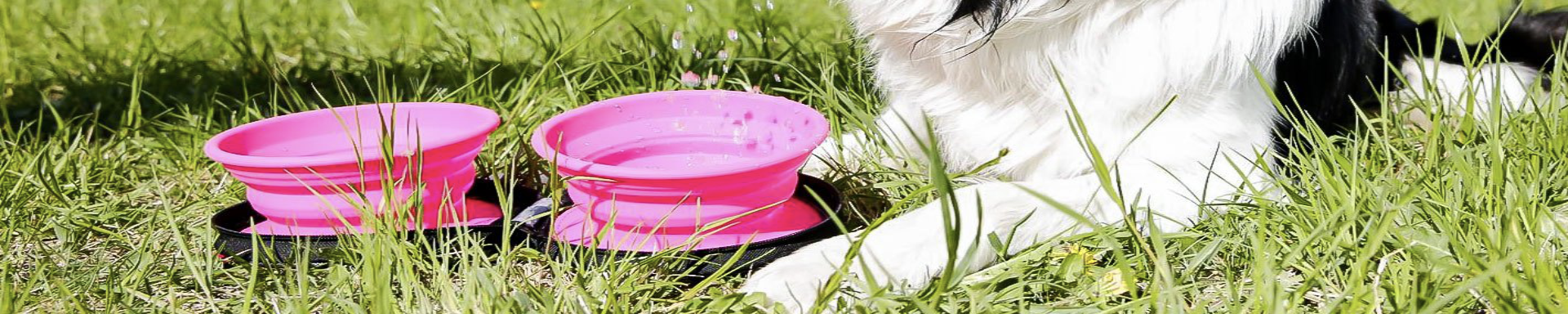 Pet Travel Bowls | MunroKennels.com | Munro Industries mk-1009040509