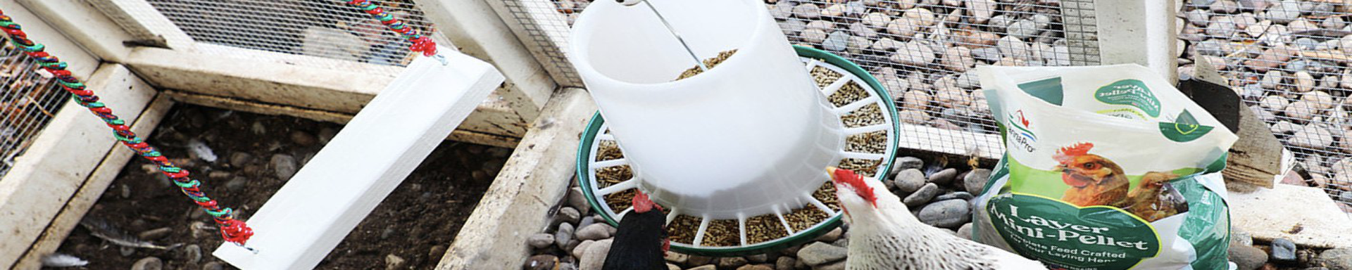 Poultry Feeders | MunroKennels.com | Munro Industries mk-1009040407