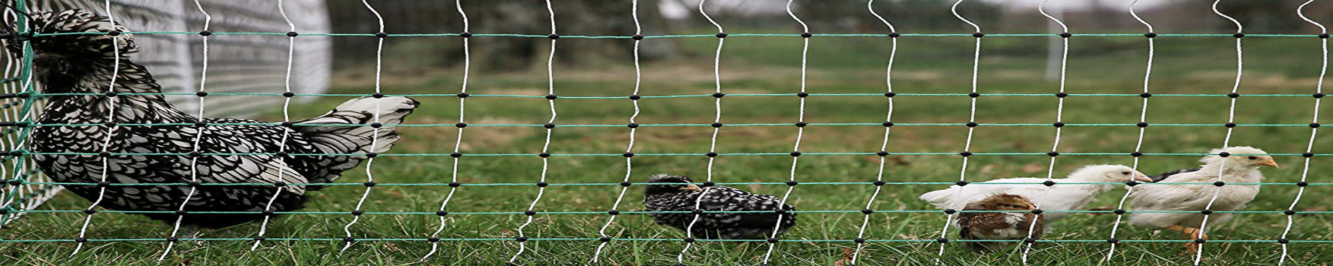 Poultry Fences | MunroKennels.com | Munro Industries mk-1009041104