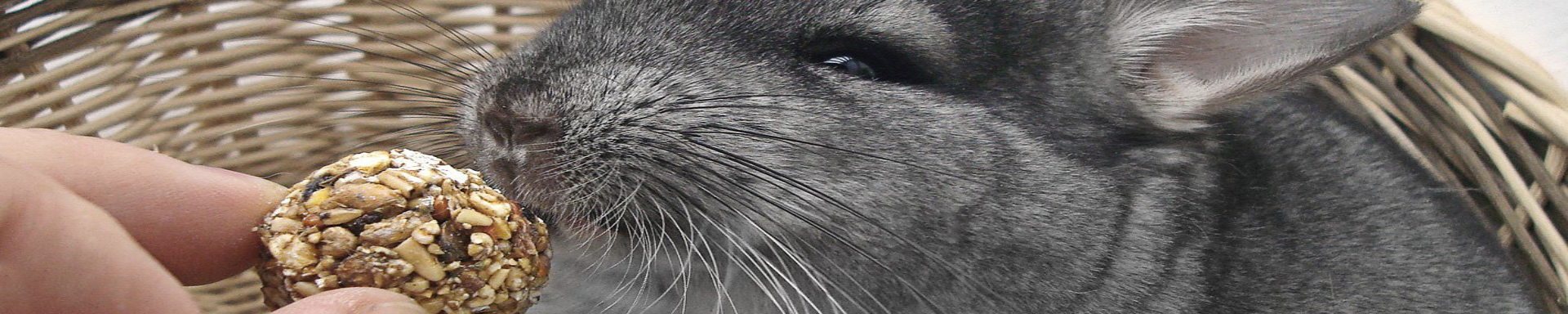 Rodent Food | MunroKennels.com | Munro Industries mk-1009041406