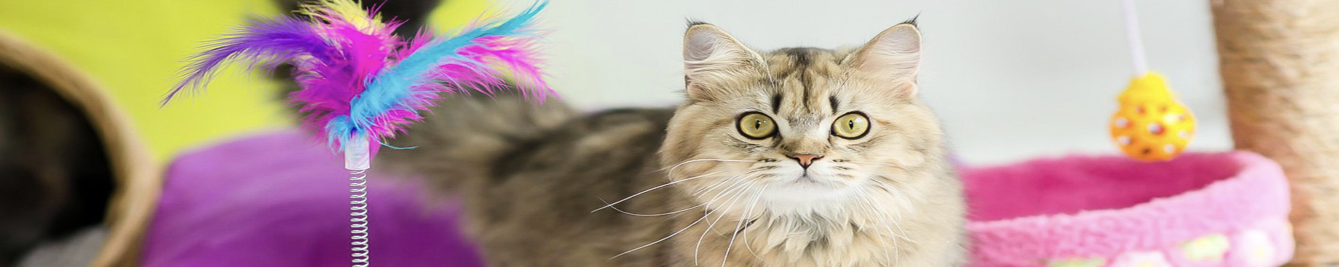 Teaser Cat Toys | MunroKennels.com | Munro Industries mk-1009042010