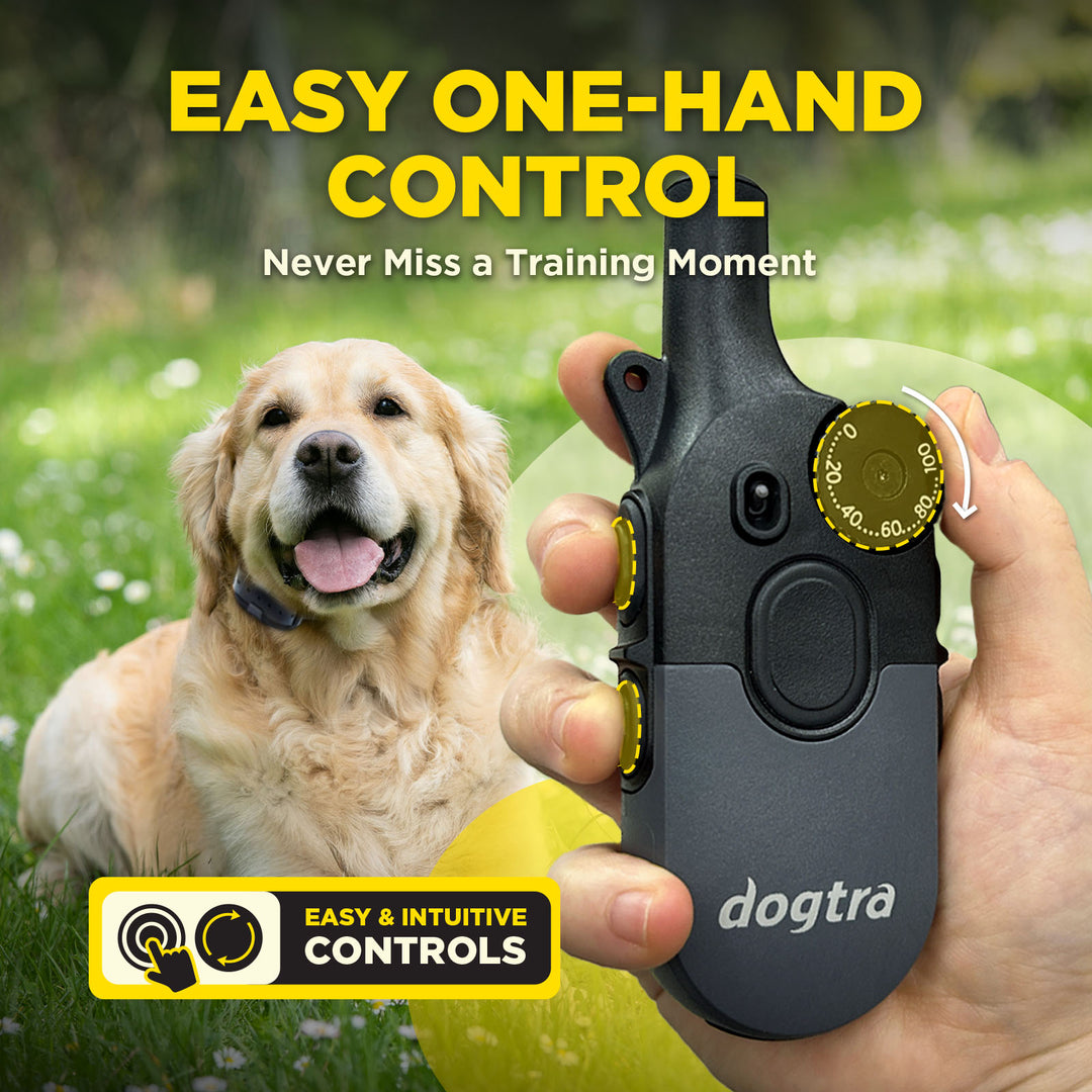 Dogtra 200IQ Training System