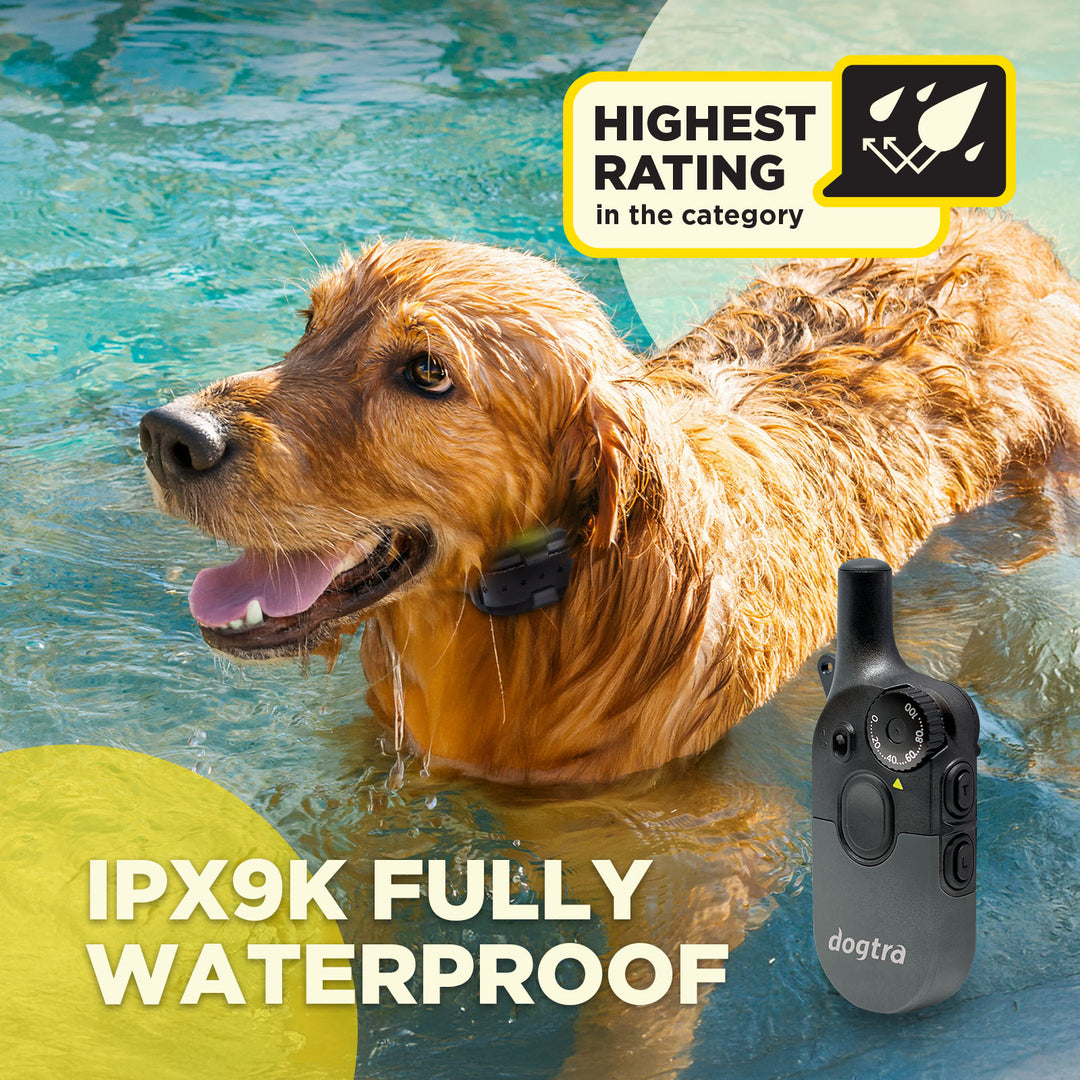 Dogtra 200IQ Training System