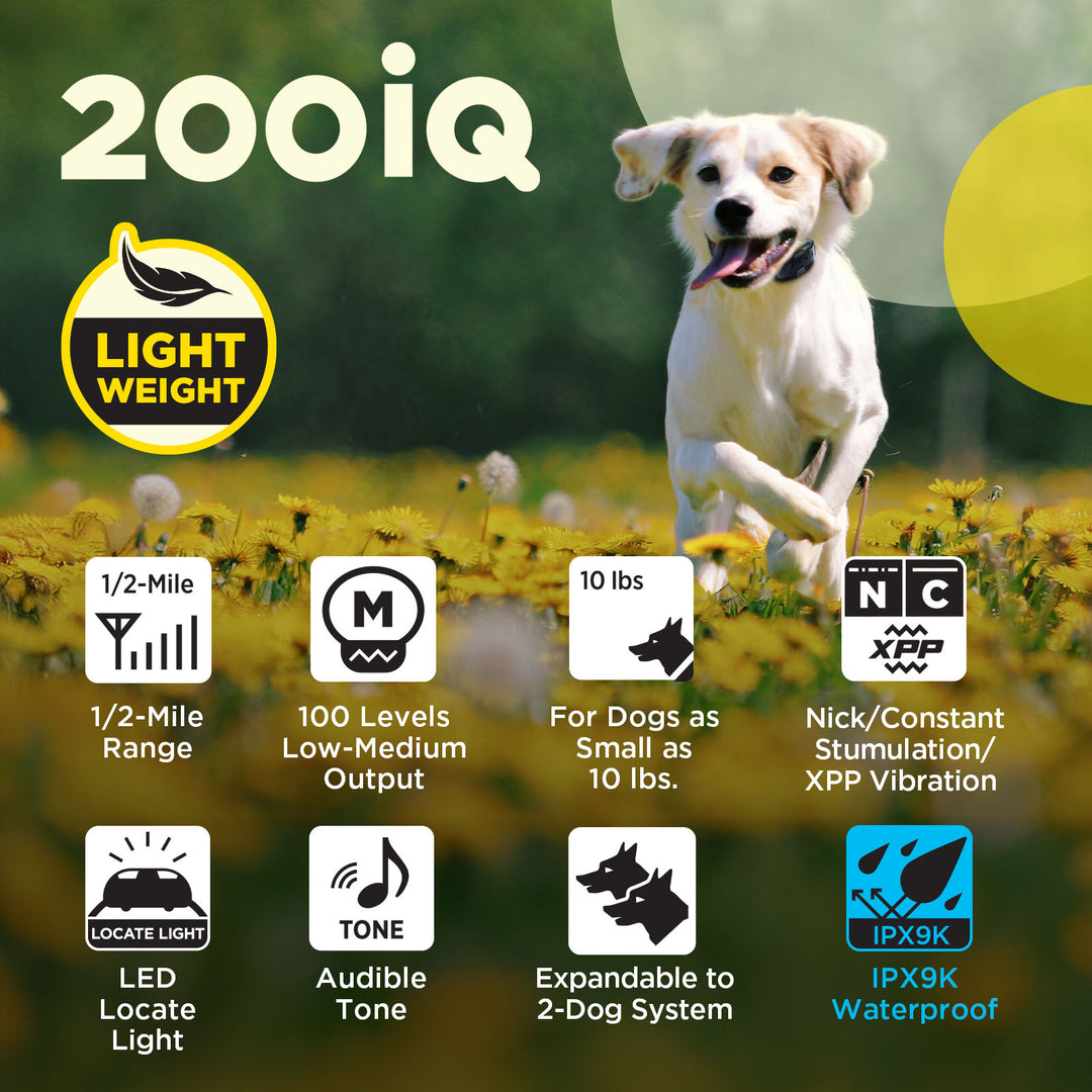 Dogtra 200IQ Training System