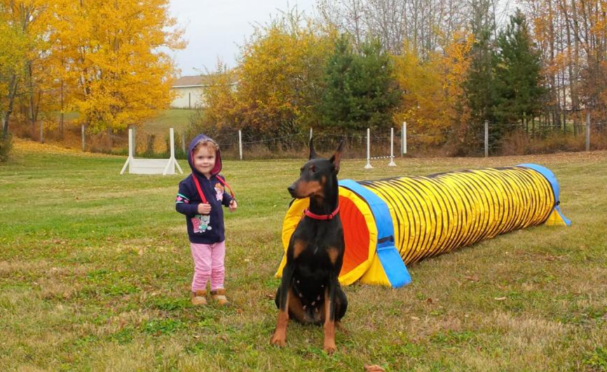 Munro Kennels Introduction to Agility With Sheila & Sydney