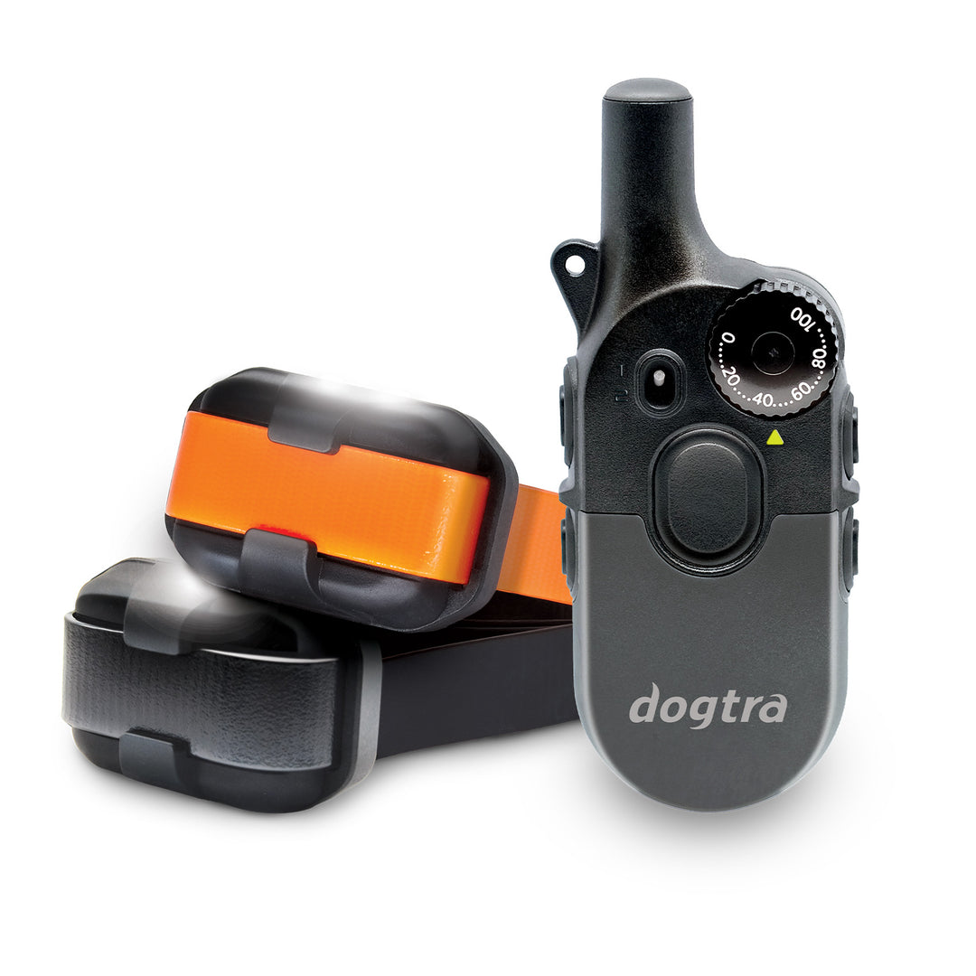 Dogtra 200IQ Training System